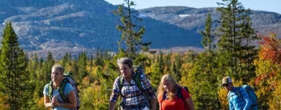 Vandring i Åre