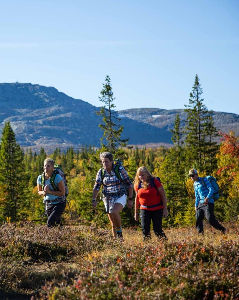 Vandring i Åre