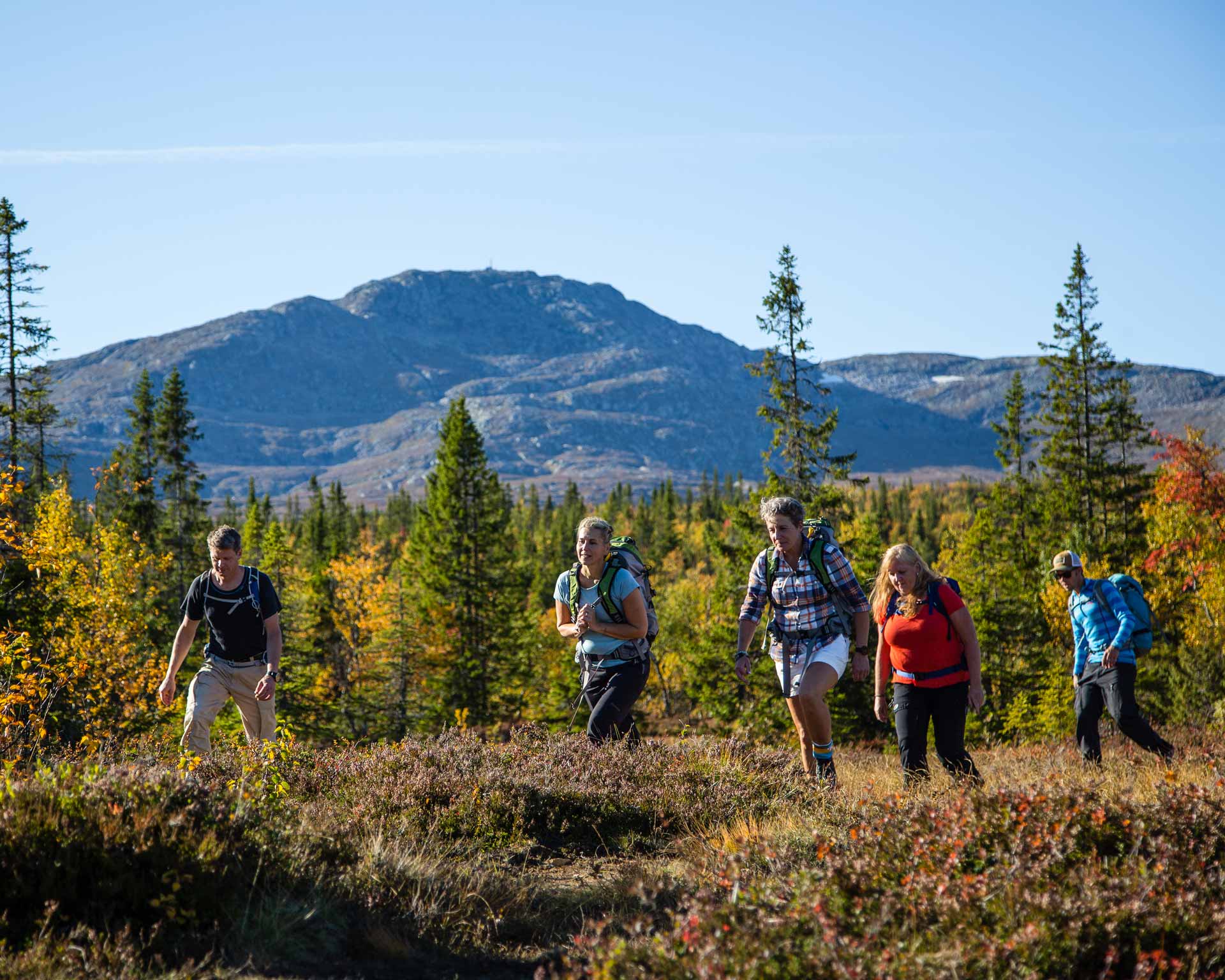 Höstkonferens med fjällaktiviteter