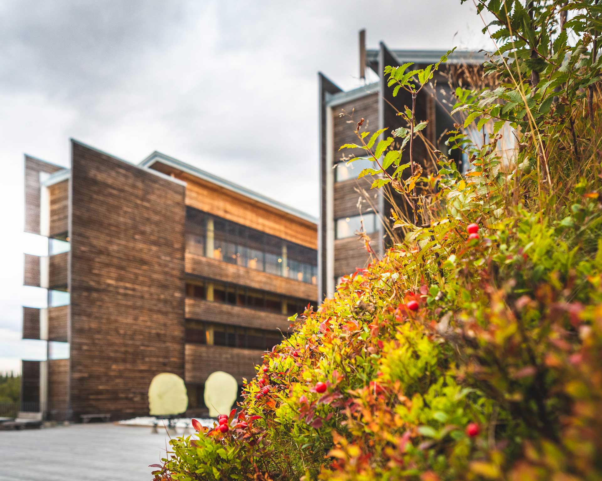 Höst på Copperhills terrass